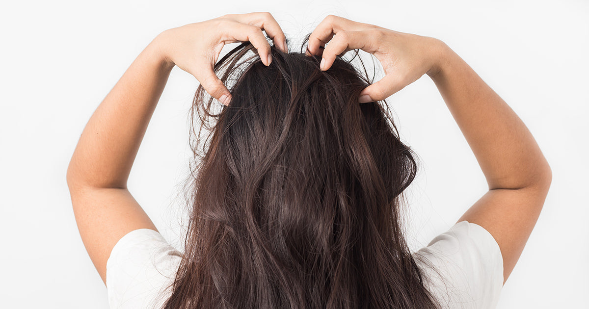 What is Scalp Health and How It May Be Affecting You