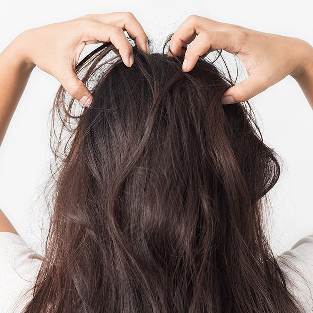 What is Scalp Health and How It May Be Affecting You