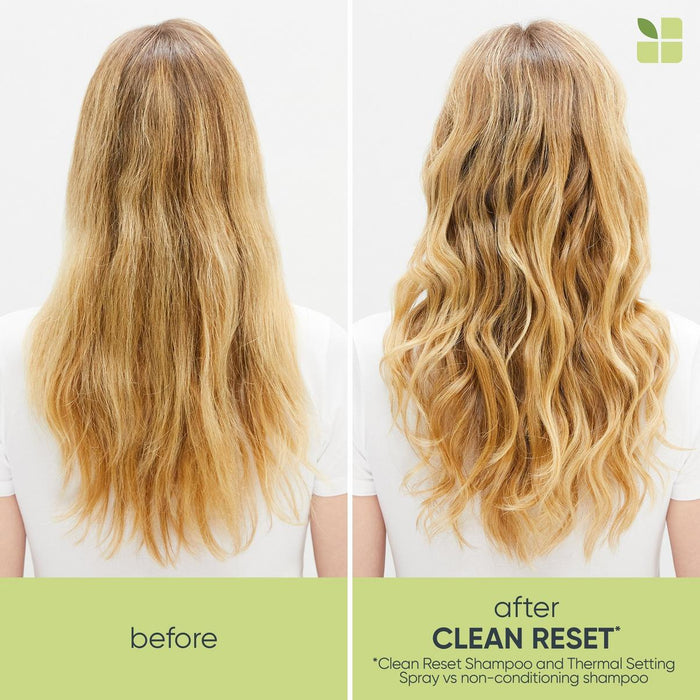 Matrix Biolage Normalizing Cleanreset Shampoo before and after results