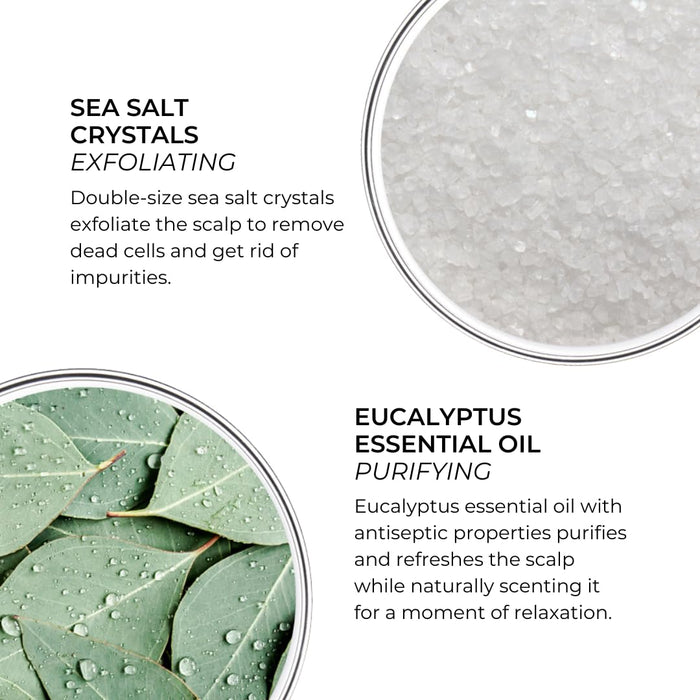 PHYTO Scalp Solutions Purifying Scrub