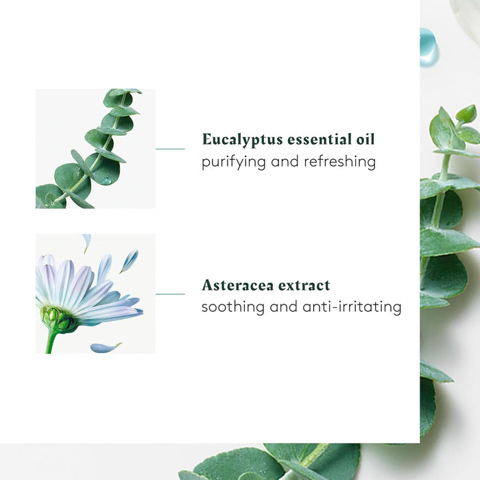 Rene Furterer Head Spa ASTERA Soothing Concentrate