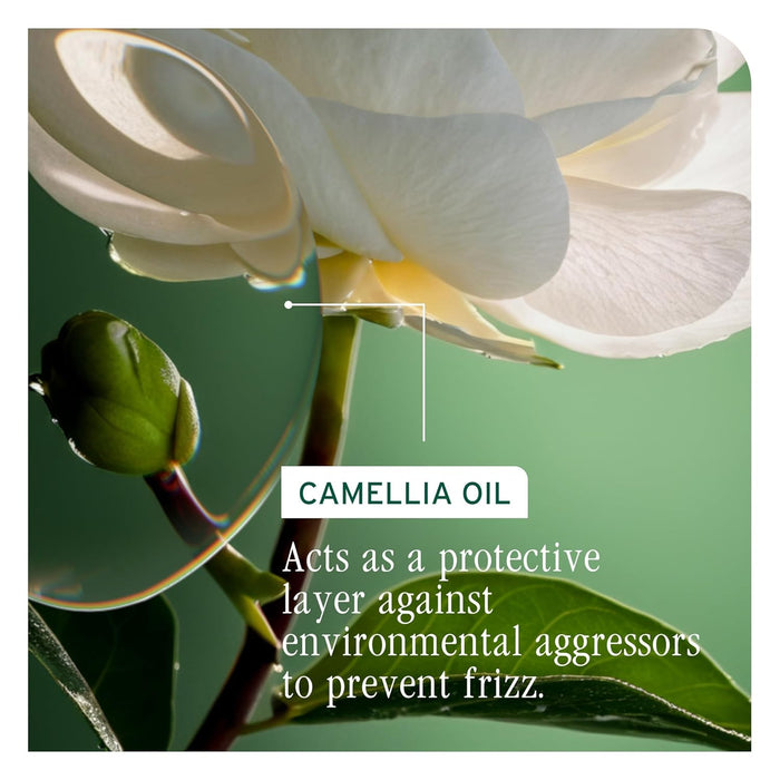 An active ingredient for Biolage Smooth Proof Serum is camellia oil