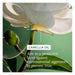 An active ingredient for Biolage Smooth Proof Serum is camellia oil