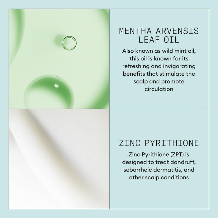 Nioxin Scalp Recovery Purifying Shampoo | Antidandruff, For Itchy Flaky Scalp