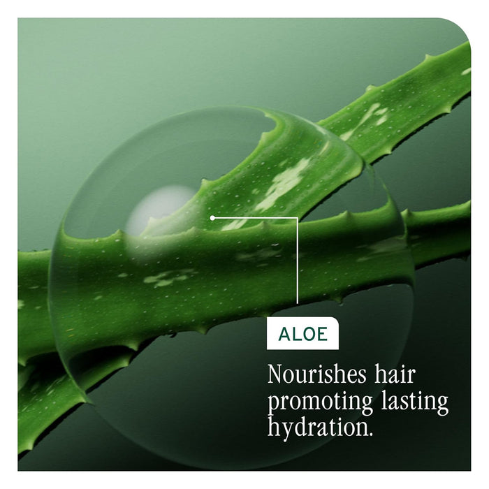 Active Ingredient of Biolage Hydra Source Deep Treatment Mask is aloe