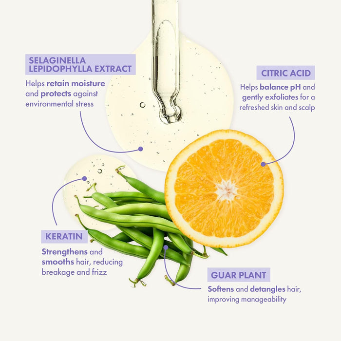 Illustration of skincare ingredients with text labels on a white background