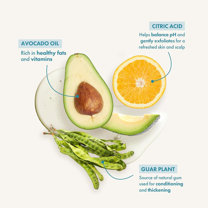 Avocado, orange, and guar plant with text labels on a white background