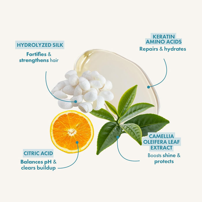 Illustration of hair care product ingredients with text labels on a white background