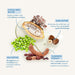 Illustration of cocoa seed butter, shea butter, pea peptide, and tamarind extract with text describing their benefits.
