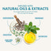 Infographic of natural oils and extracts with sunflower seeds, peppermint leaves, eucalyptus leaves, aloe vera extract, and tea tree leaf.