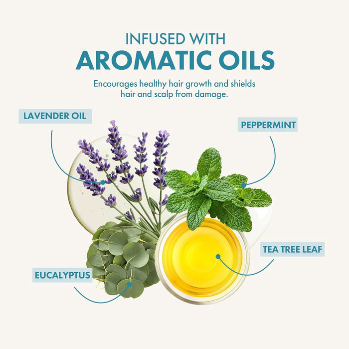 Infographic of aromatic oils with lavender, peppermint, eucalyptus, and tea tree leaf, labeled 'Infused with Aromatic Oils'.