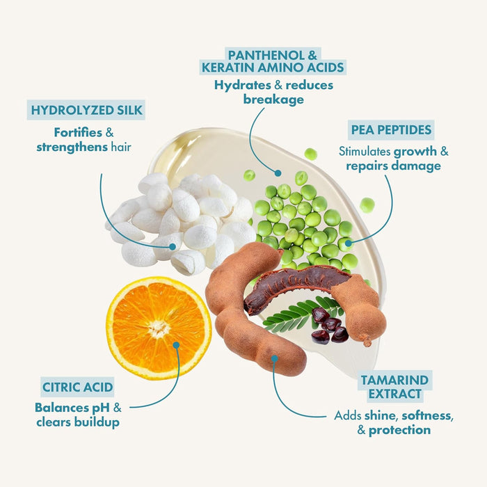 Illustration of hair care ingredients with labels on a white background