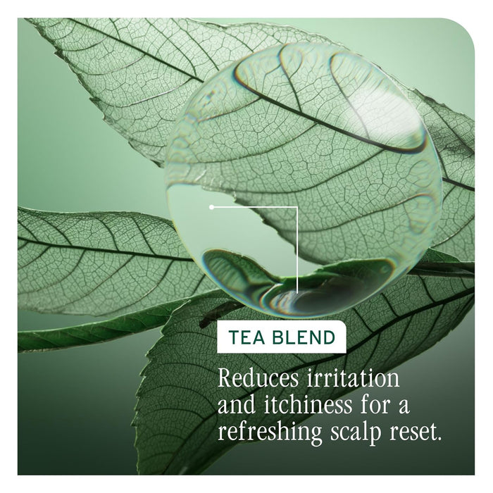 Active ingredient of Biolage Scalp Sync Calming Shampoo is a tea blend