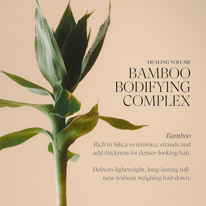 L'ANZA Healing Volume Root Effects