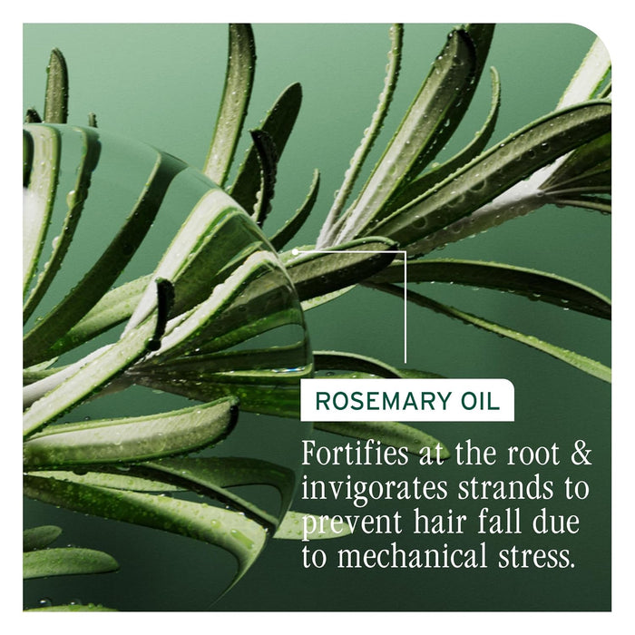 An active ingredient of Biolage Full Rescue Densifying Leave-In Spray is Rosemary oil