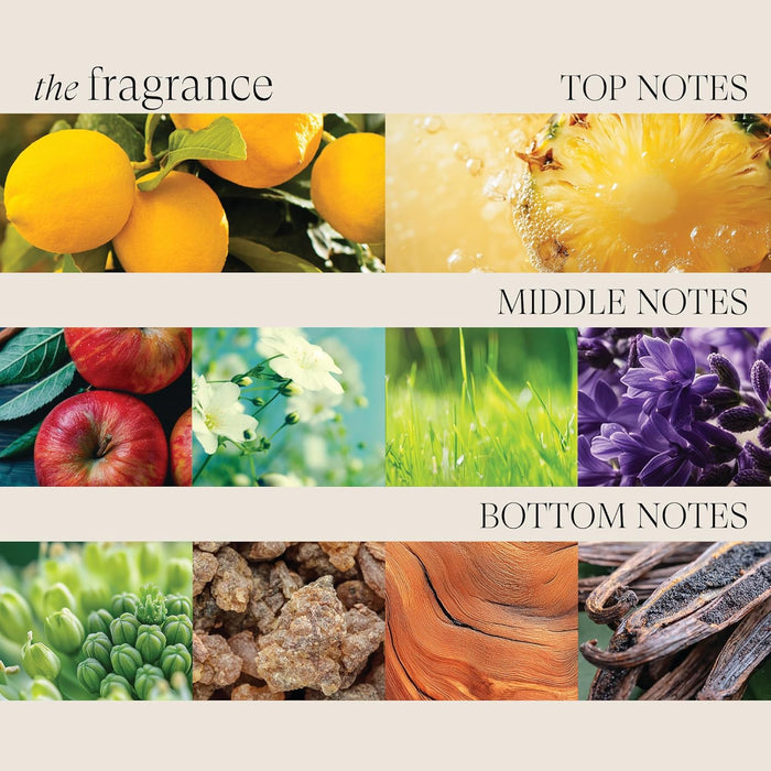 L'ANZA Healing ColorCare Color-Preserving Conditioner