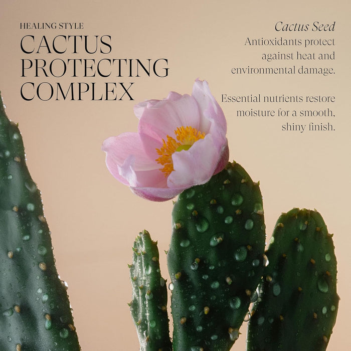 L'ANZA Healing Style Foundation Mousse