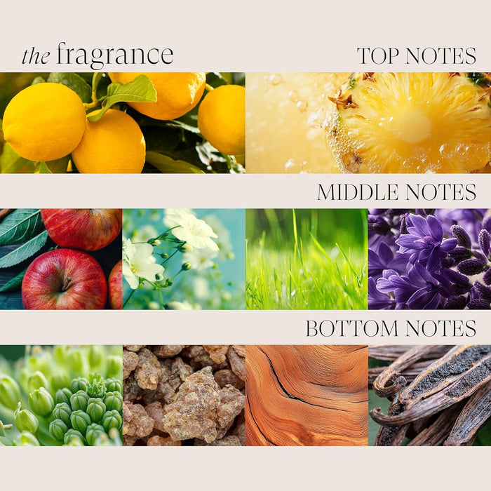 L'ANZA Healing ColorCare Color-Preserving Shampoo