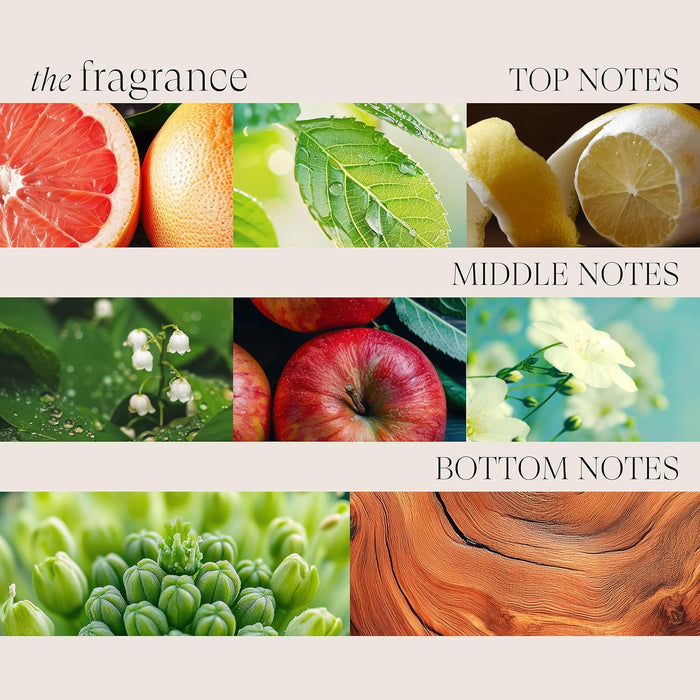 L'ANZA Healing Volume Root Effects