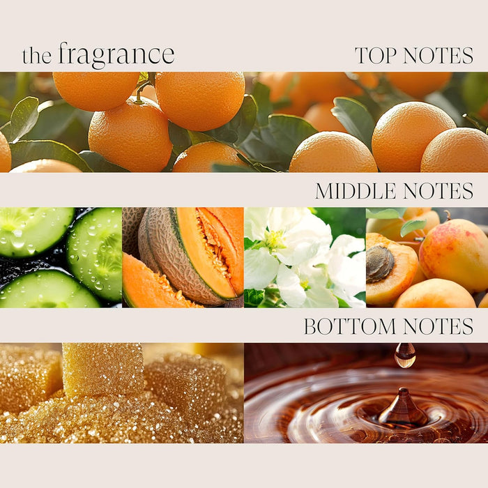 L'ANZA Healing Strength White Tea Shampoo