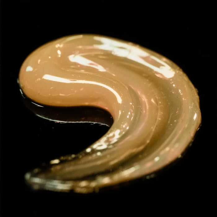 Sebastian Cellophanes - Honeycomb Blonde