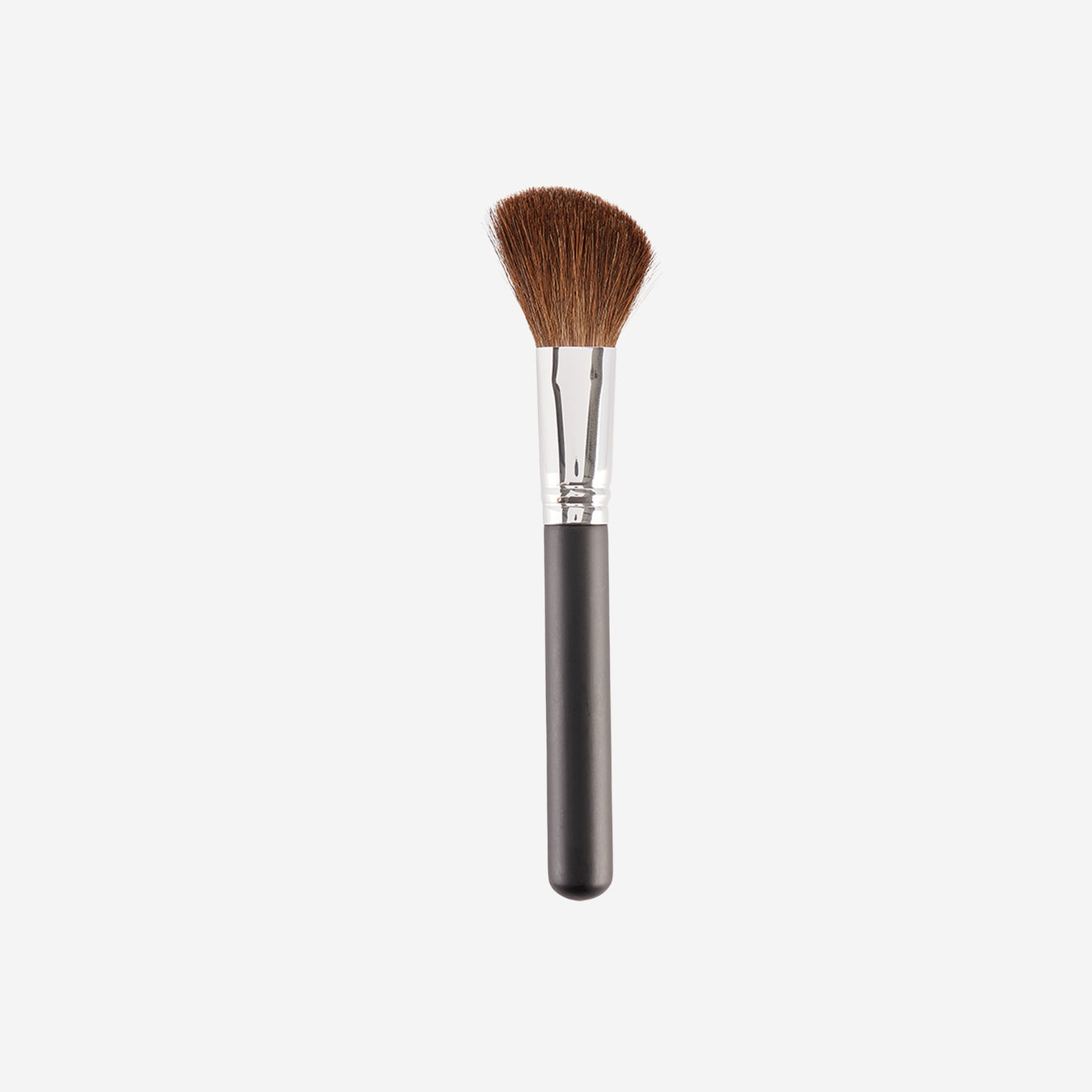 Makeup Brushes