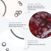 Dermalogica Liquid Peelfoliant contains 10% aha + 0.5% bha, 5% phytic acid + tranexamic acid, and upcycled cranberries