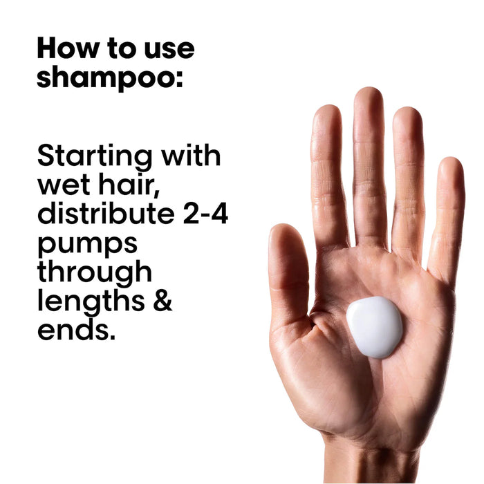 L'oreal Profeessionnel Metal Detox Holiday Set