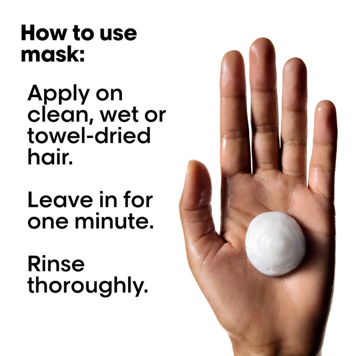 L'oreal Profeessionnel Metal Detox Holiday Set