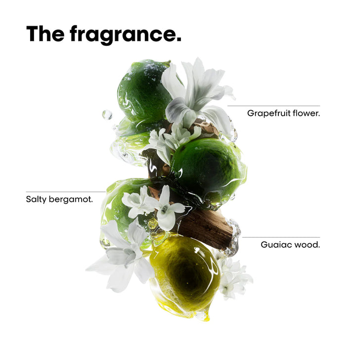 L'oreal Profeessionnel Metal Detox Holiday Set