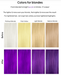 Celeb Luxury Viral Colorwash Vivid Purple Before and After