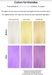 Celeb Luxury Viral Colorwash Pastel Lavender Before and After