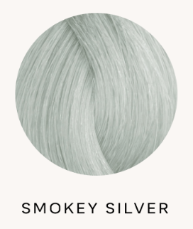 Pravana Chromasilk Vivids Semi Permanent Hair Color Smokey Silver