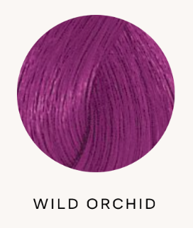 Pravana Chromasilk Vivids Semi Permanent Hair Color Wild Orchid